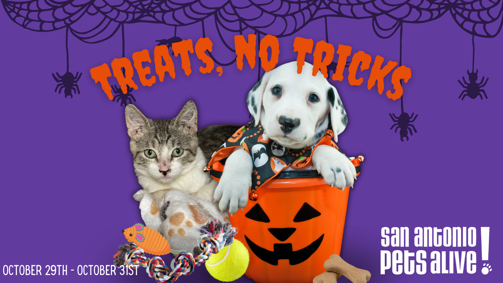 Treats, No Tricks! 